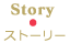 Story　ストーリー
